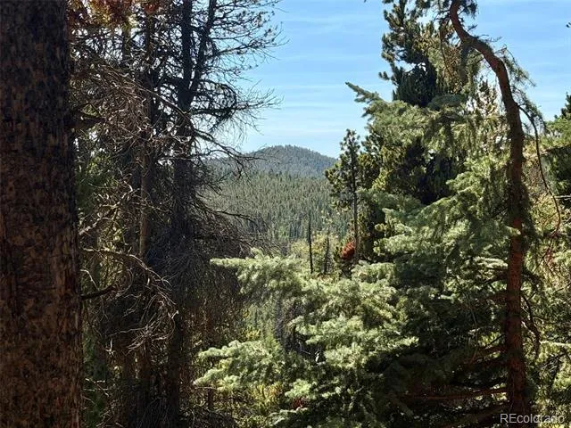 0 Lodgepole Circle Evergreen, CO 80439