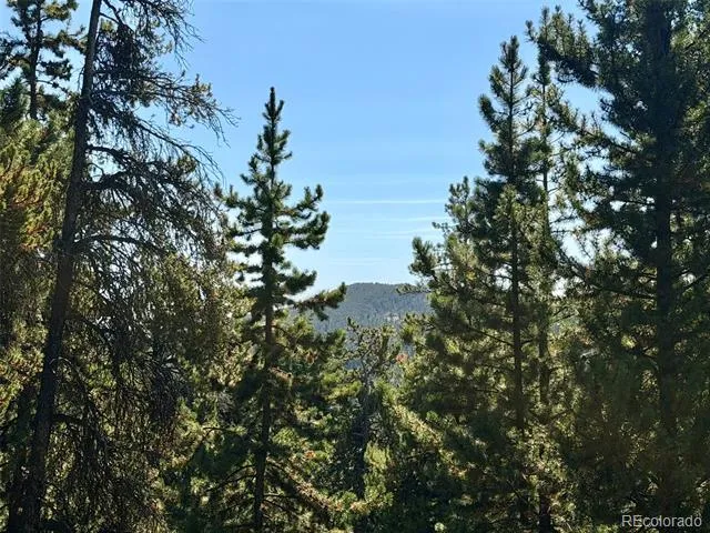 0 Lodgepole Circle Evergreen, CO 80439