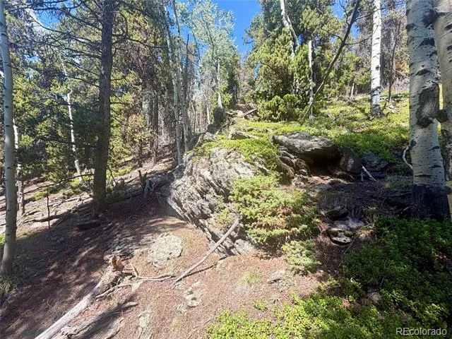 0 Lodgepole Circle Evergreen, CO 80439