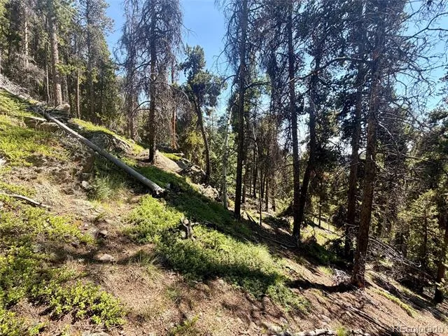 0 Lodgepole Circle Evergreen, CO 80439