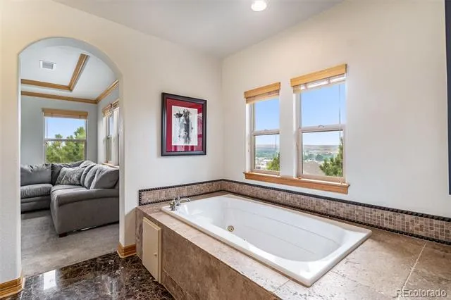 12161 S Leaning Pine Court Parker, CO 80134