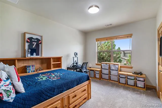 12161 S Leaning Pine Court Parker, CO 80134