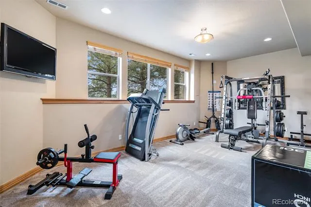 12161 S Leaning Pine Court Parker, CO 80134