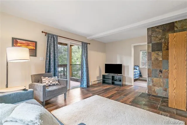 110 Now Colorado Court #E8 Breckenridge, CO 80424