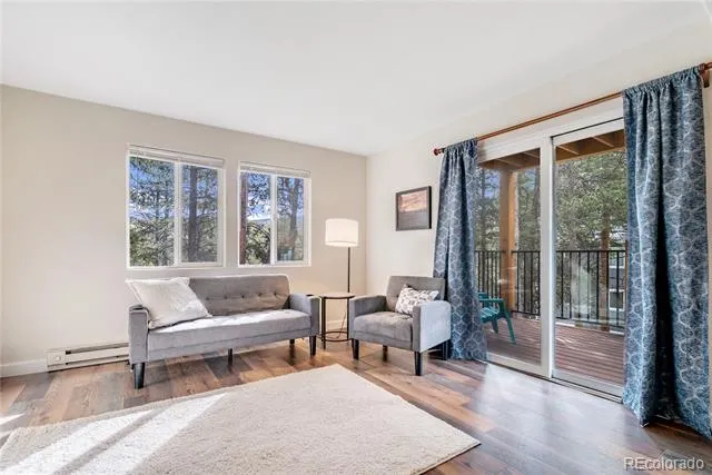 110 Now Colorado Court #E8 Breckenridge, CO 80424