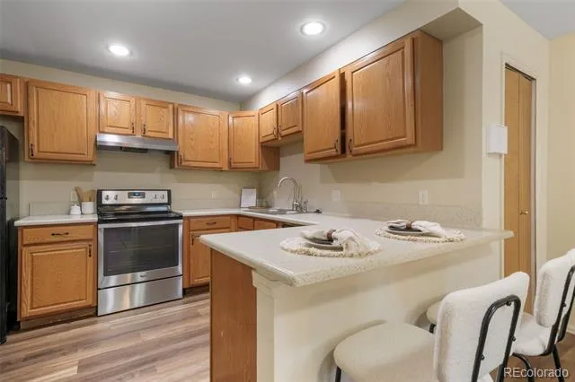 1010 Magic Lamp Way #C Monument, CO 80132