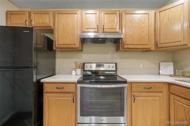 1010 Magic Lamp Way #C Monument, CO 80132