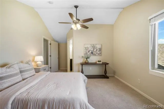 1010 Magic Lamp Way #C Monument, CO 80132
