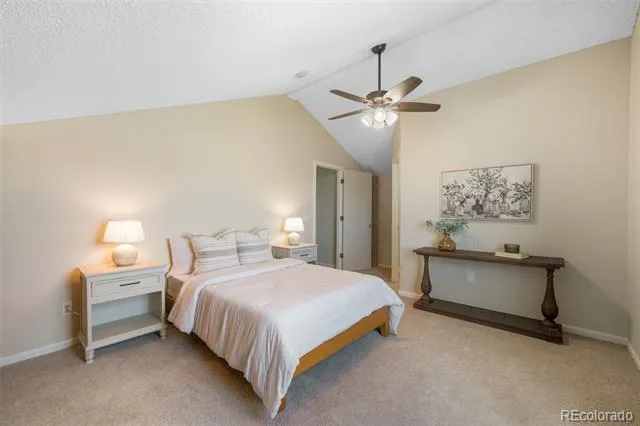 1010 Magic Lamp Way #C Monument, CO 80132