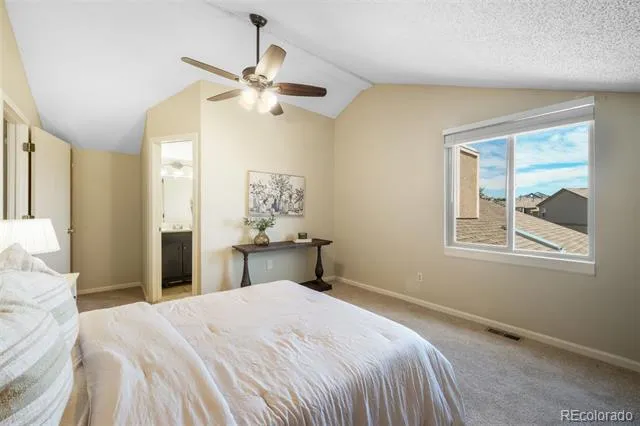 1010 Magic Lamp Way #C Monument, CO 80132