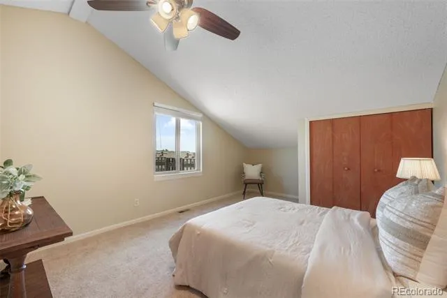 1010 Magic Lamp Way #C Monument, CO 80132