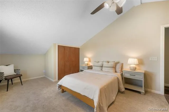 1010 Magic Lamp Way #C Monument, CO 80132
