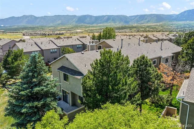 1010 Magic Lamp Way #C Monument, CO 80132
