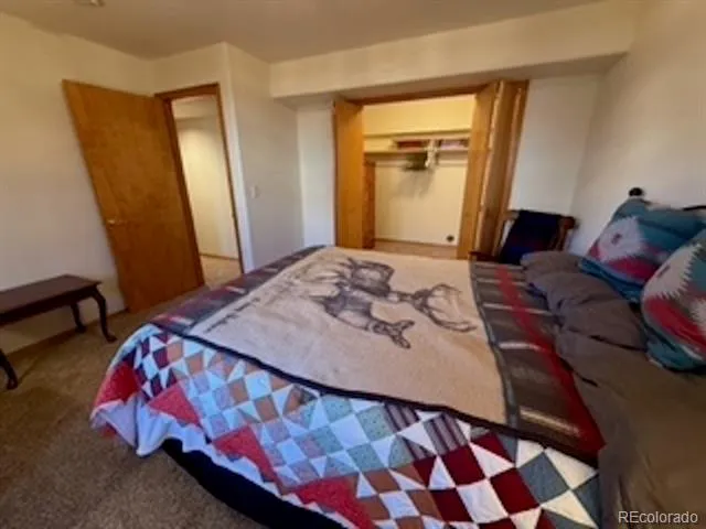 214 Luxury Lane Colorado Springs, CO 80921