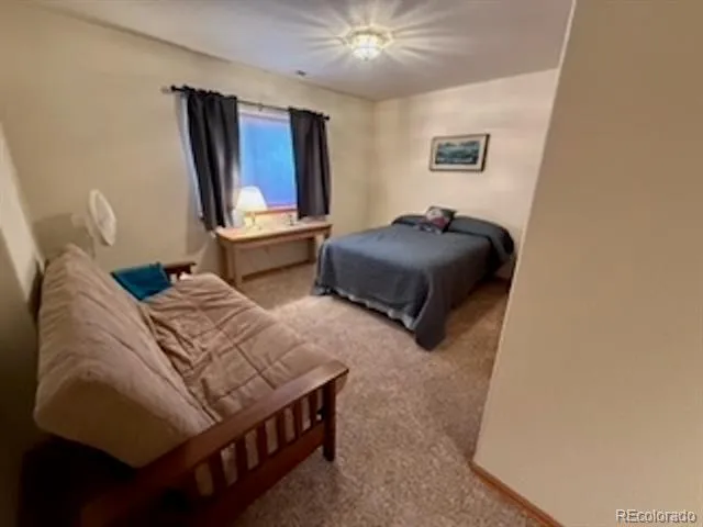 214 Luxury Lane Colorado Springs, CO 80921