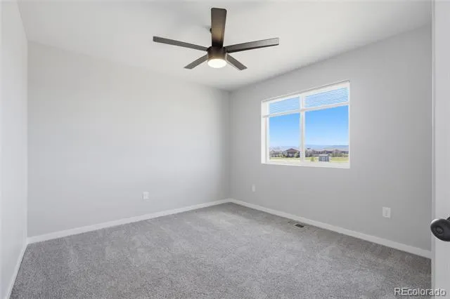 7263 Horsechestnut Street Wellington, CO 80549