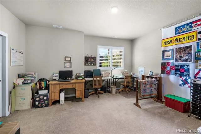 9828 Surrey Run Drive Colorado Springs, CO 80924