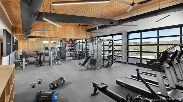 35 Welded Tuff Trail Castle Rock, CO 80104