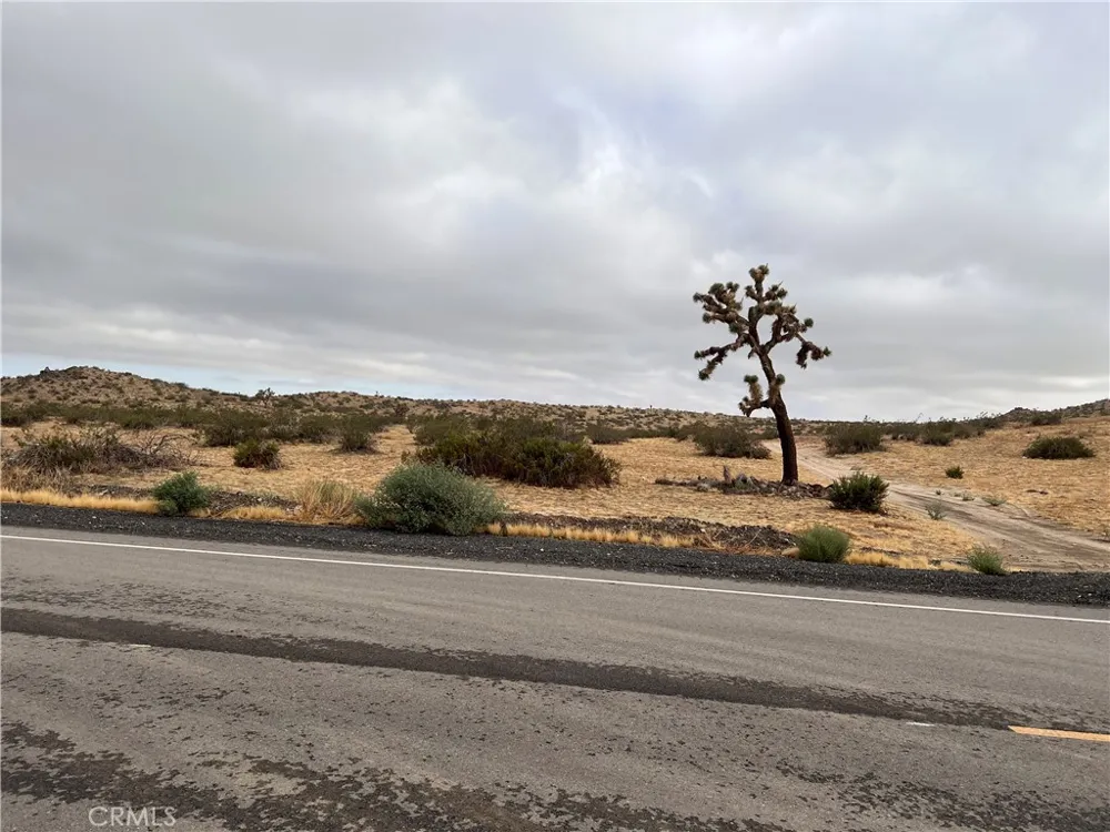Palmdale Blvd/Vic 217 Ste E Black Butte, CA 93591