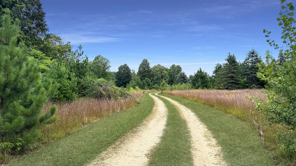 145 S 35 ROAD Selma Township, MI 49601