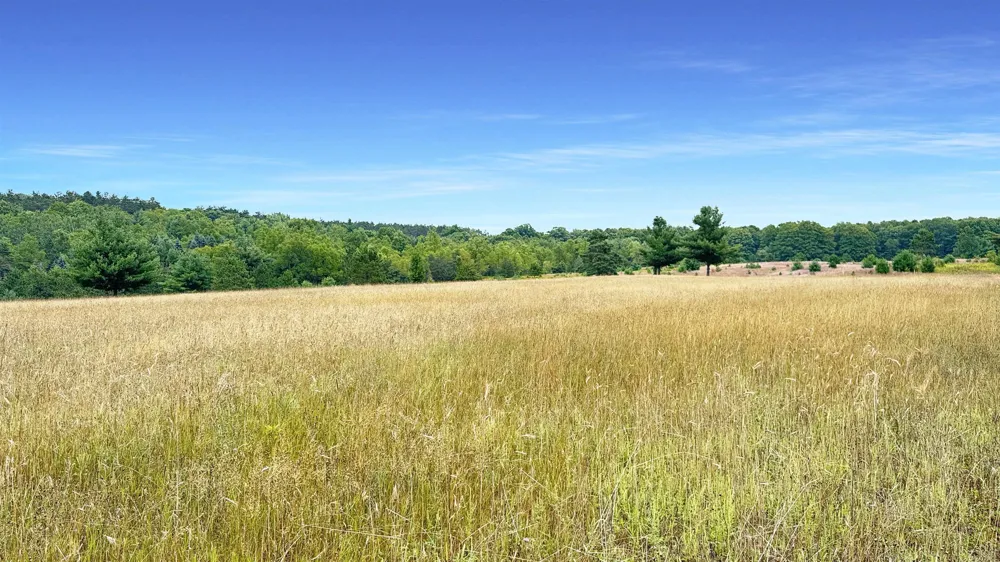 145 S 35 ROAD Selma Township, MI 49601
