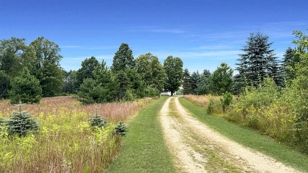 145 S 35 ROAD Selma Township, MI 49601