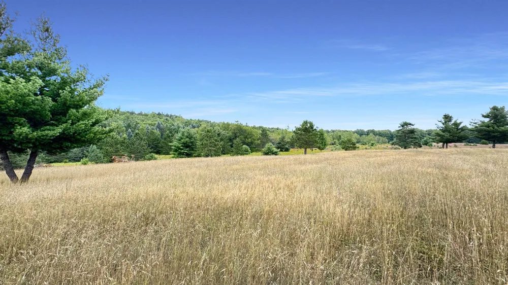145 S 35 ROAD Selma Township, MI 49601