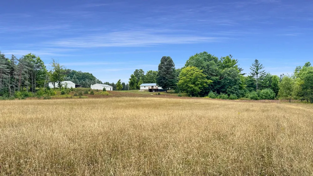 145 S 35 ROAD Selma Township, MI 49601