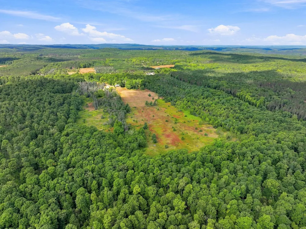 145 S 35 ROAD Selma Township, MI 49601