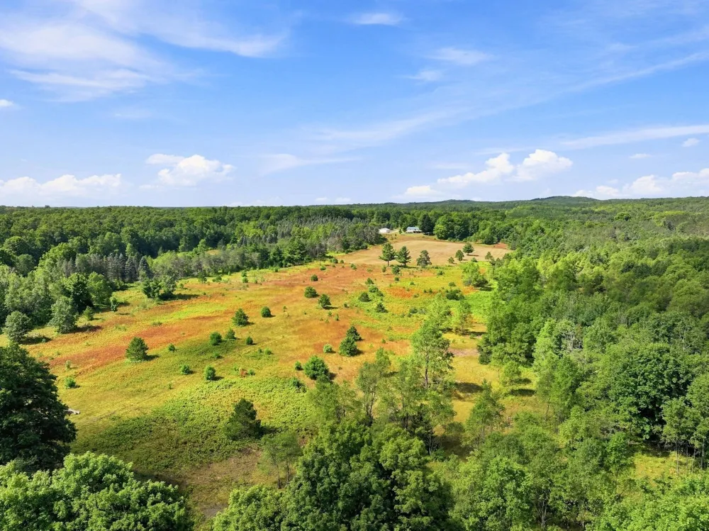 145 S 35 ROAD Selma Township, MI 49601