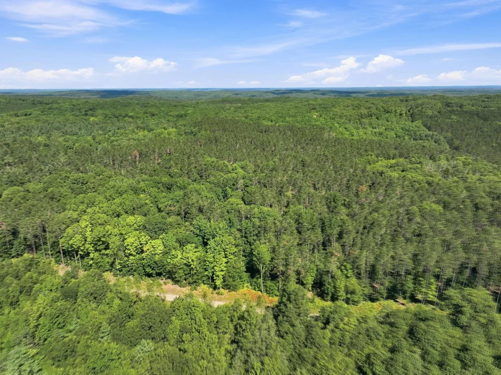 145 S 35 ROAD Selma Township, MI 49601