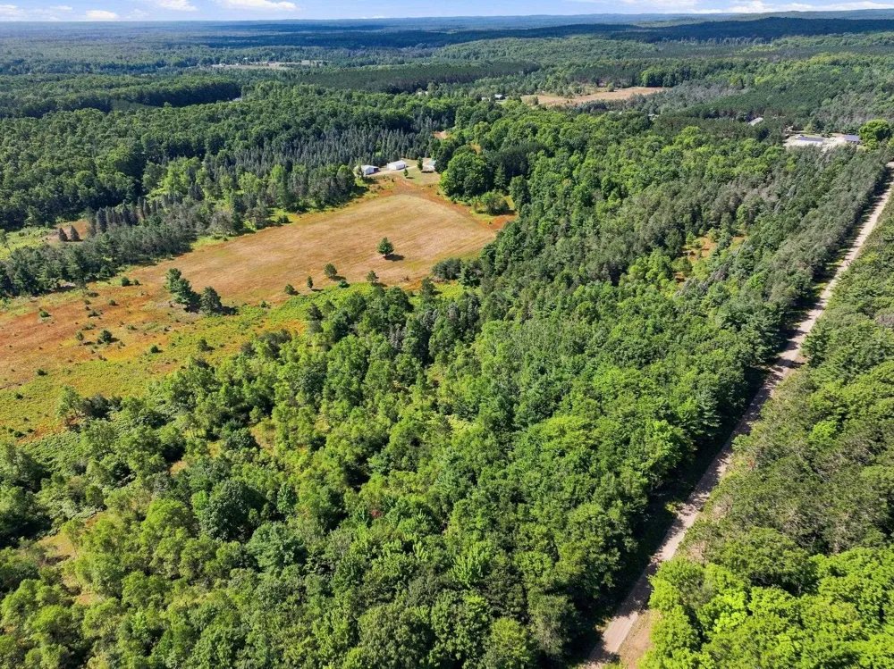 145 S 35 ROAD Selma Township, MI 49601