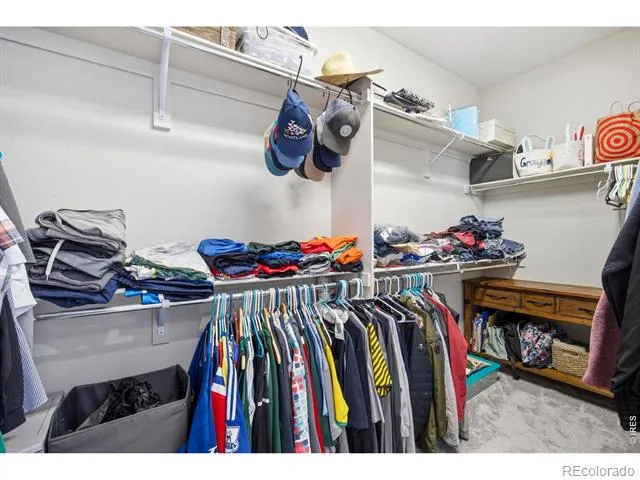 5743 Jedidiah Drive Timnath, CO 80547