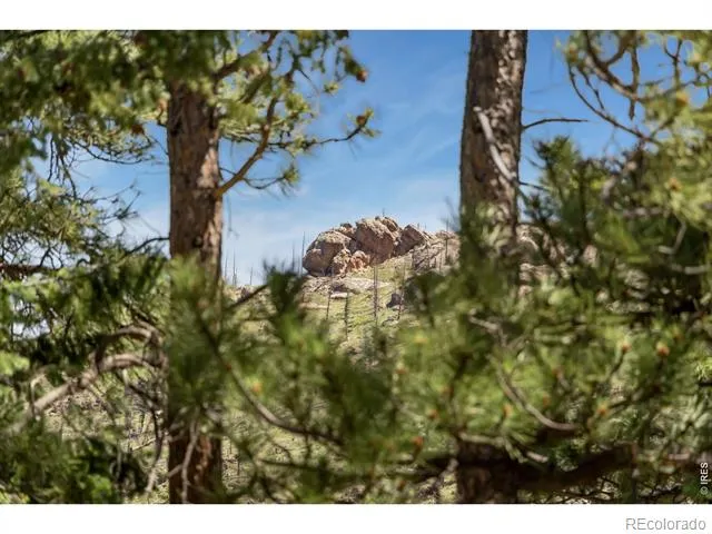12592 Rist Canyon Road Bellvue, CO 80512