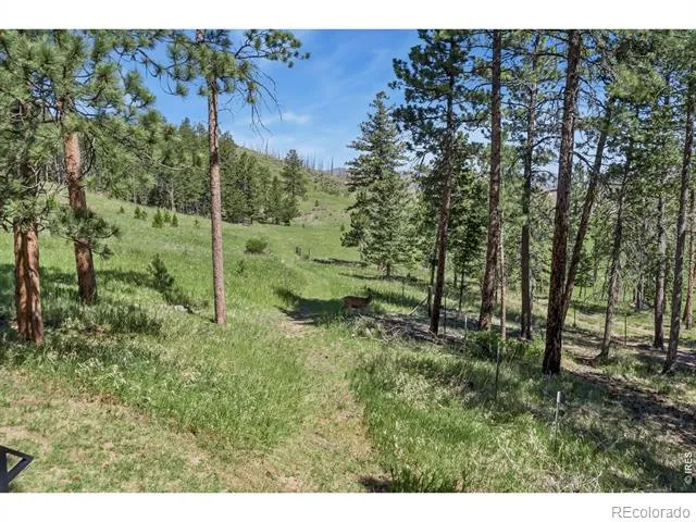 12592 Rist Canyon Road Bellvue, CO 80512