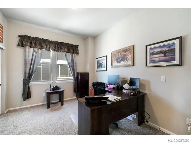 1210 Muskox Street Severance, CO 80550