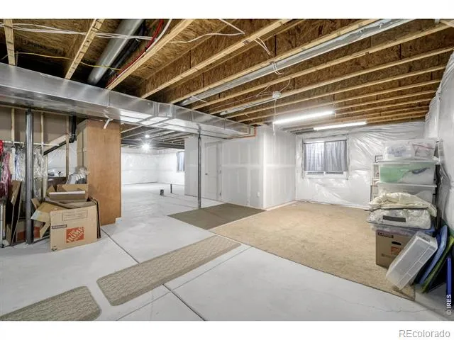 1210 Muskox Street Severance, CO 80550