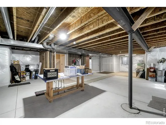 1210 Muskox Street Severance, CO 80550