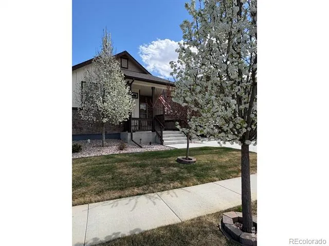 1210 Muskox Street Severance, CO 80550