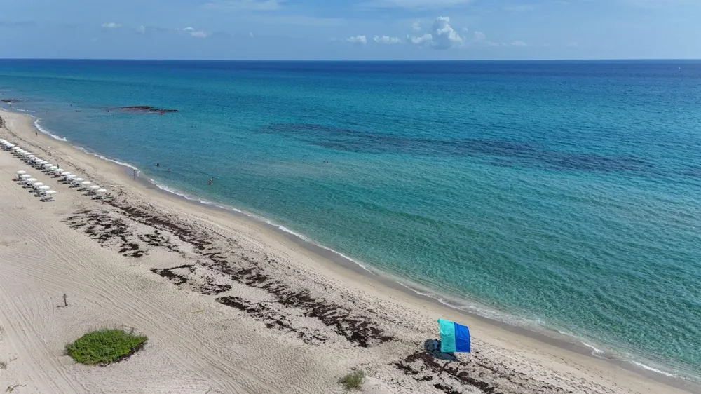 3600 Ocean Drive #324 Riviera Beach, FL 33404