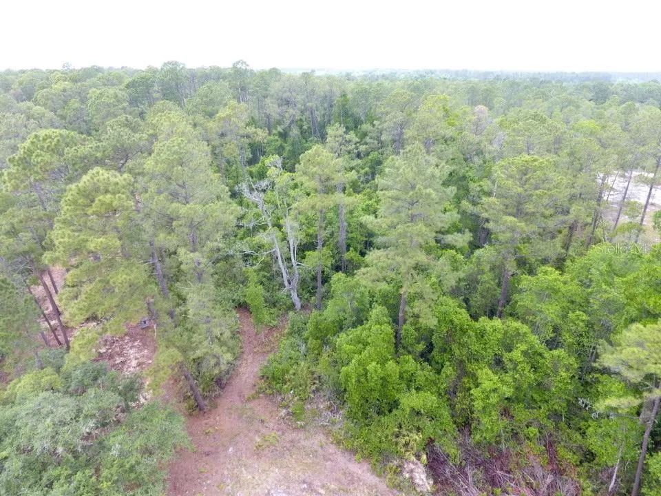 161 SNAKE HILL ROAD Crescent City, FL 32112