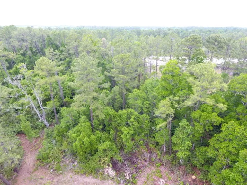 161 SNAKE HILL ROAD Crescent City, FL 32112