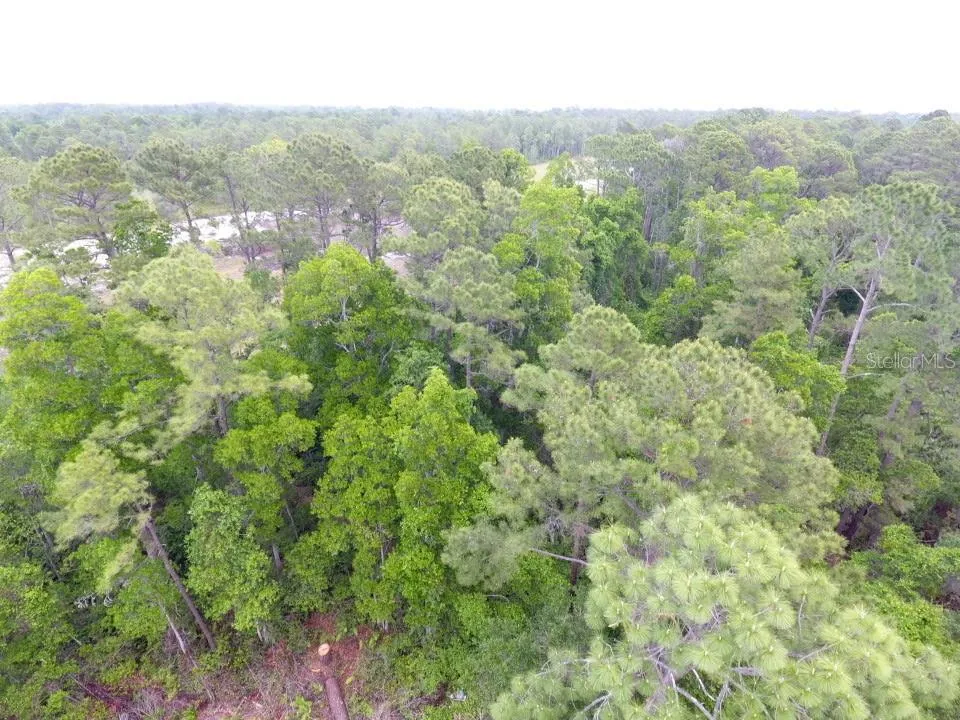 161 SNAKE HILL ROAD Crescent City, FL 32112