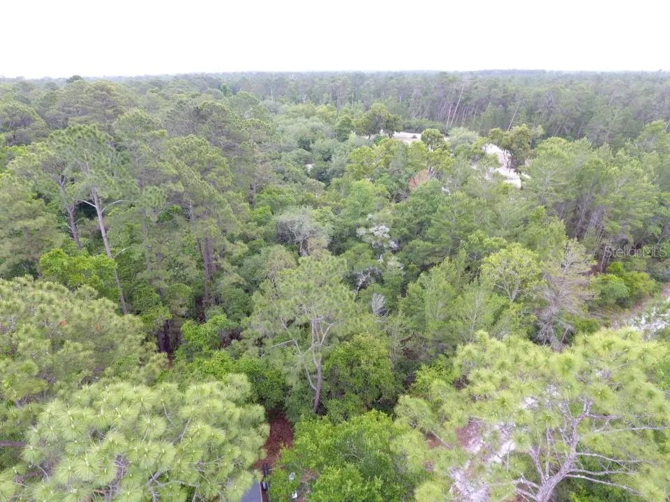161 SNAKE HILL ROAD Crescent City, FL 32112