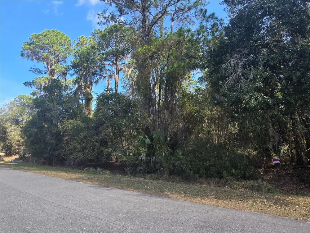 13837 SE 201ST TERRACE Hawthorne, FL 32640