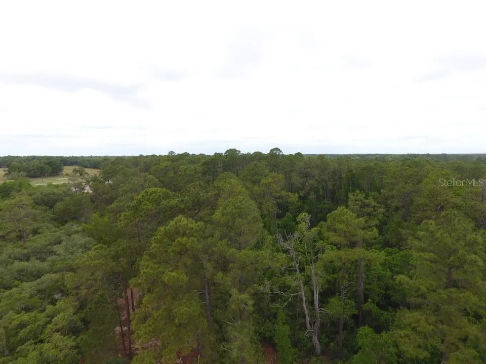 155 SNAKE HILL ROAD Pomona Park, FL 32181