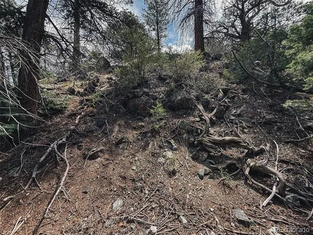 401 Lake Of The Falls Parkway Mosca, CO 81146
