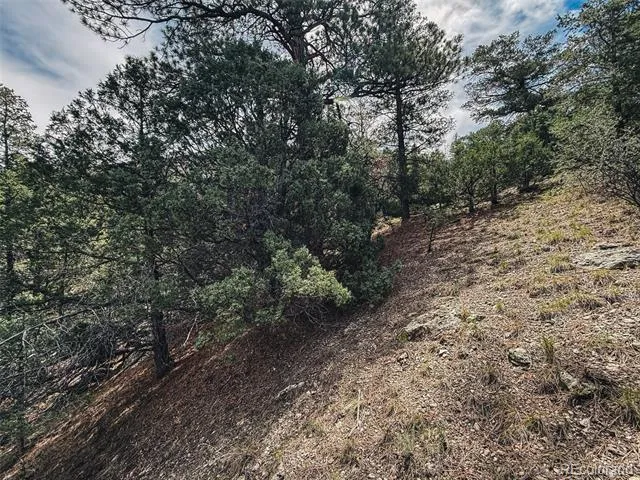 401 Lake Of The Falls Parkway Mosca, CO 81146