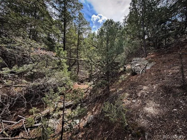 401 Lake Of The Falls Parkway Mosca, CO 81146