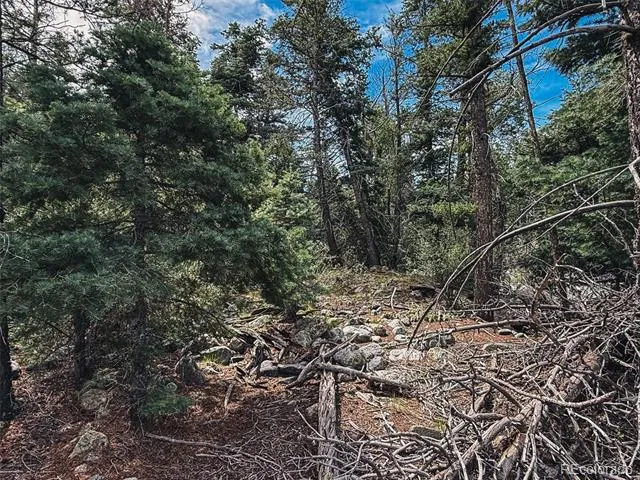 401 Lake Of The Falls Parkway Mosca, CO 81146